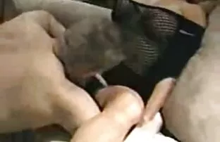 XXX aficionado hentai xxx español latino